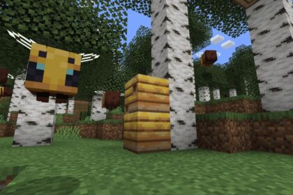 Bundles of Bravery Drop