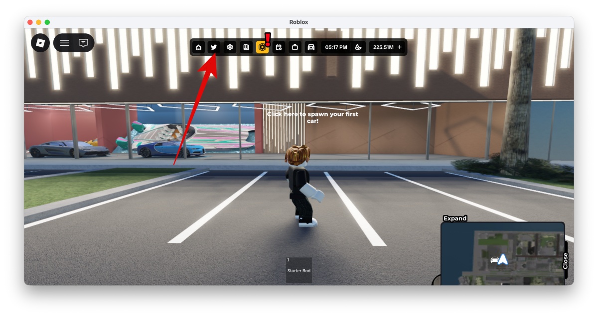 Click the Codes button bird icon at the top of the screen