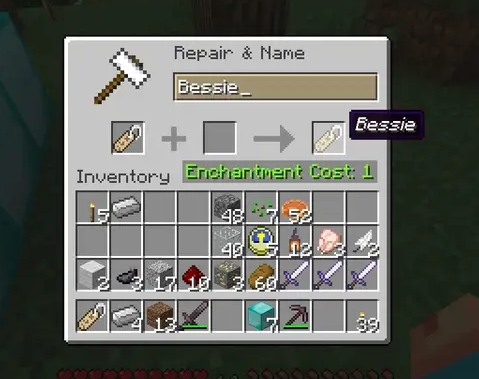 Name Tag Uses and Mechanics in Minecraft