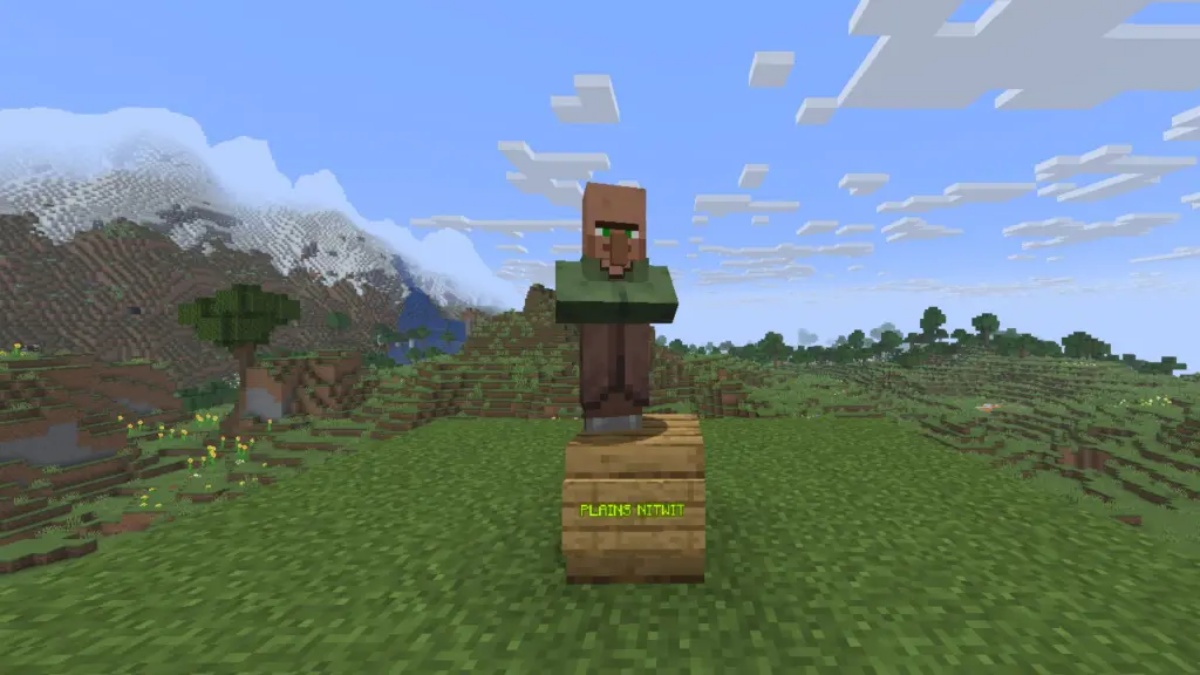 Nitwit – The Black Sheep