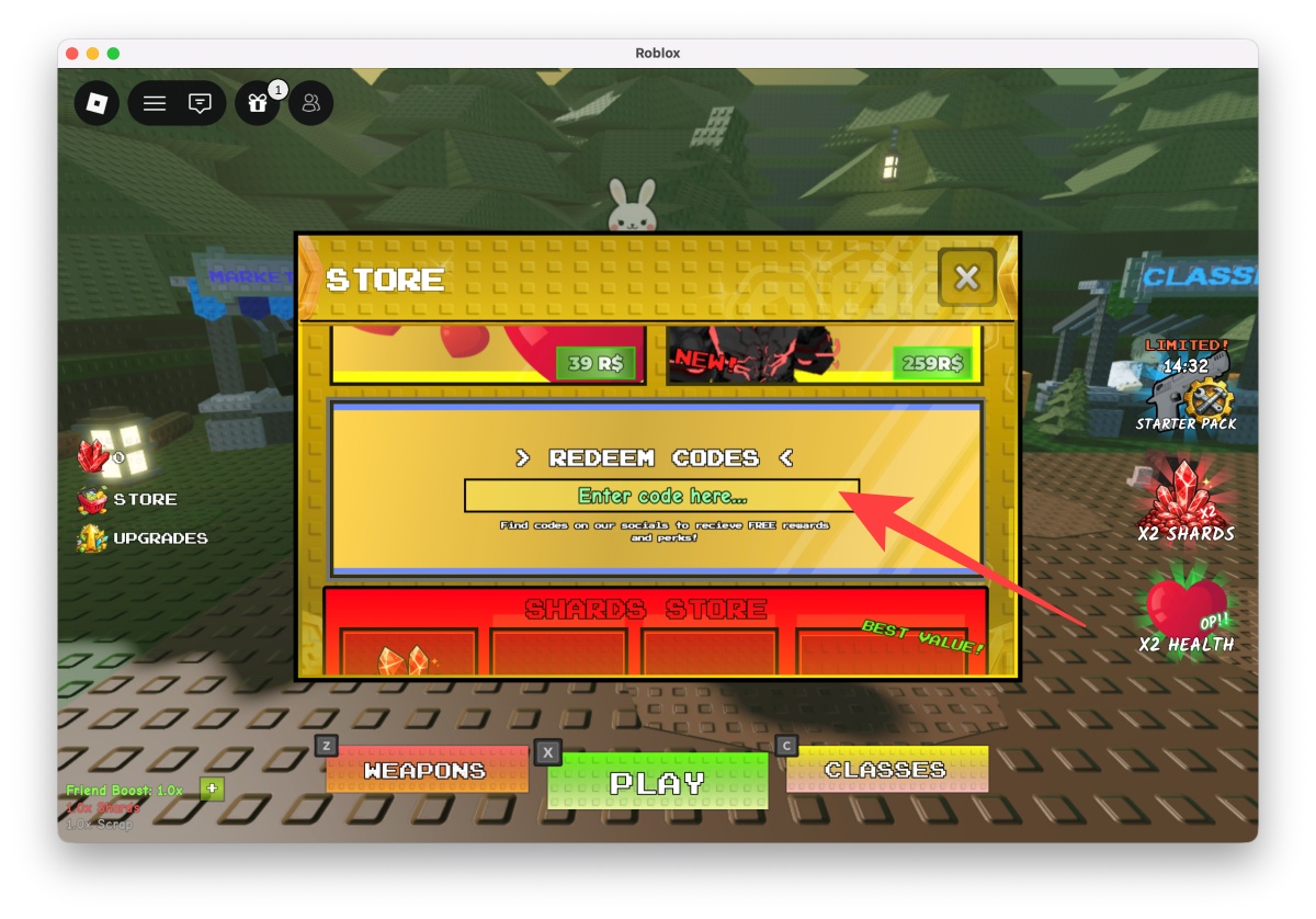 Type or paste a working code into the text field