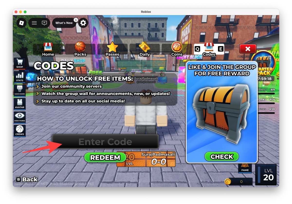 Type your code into the text box exactly as shown